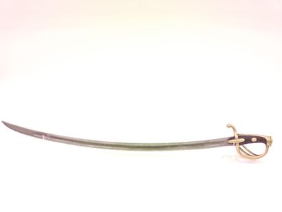 Light cavalry saber model An XI. 

Handle...