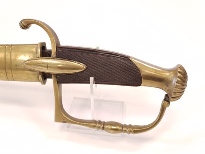 Infantry officer saber type 1800. 

Handle...