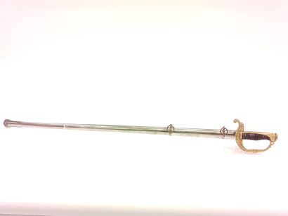 Marine infantry officer saber. 

Horn handle...