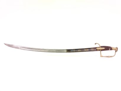 Infantry officer saber type 1800. 

Handle...