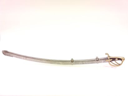 Light cavalry saber model An XI. 

Handle...