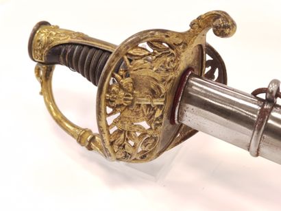 Marine infantry officer saber. 

Horn handle...