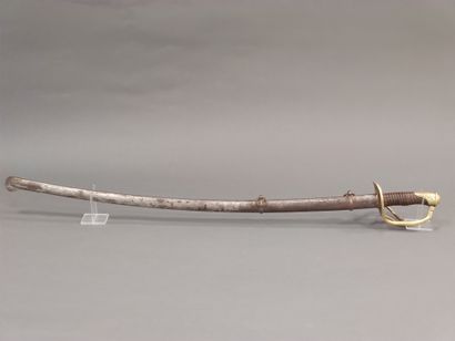 Light cavalry officer saber model 1822. 

Horn...