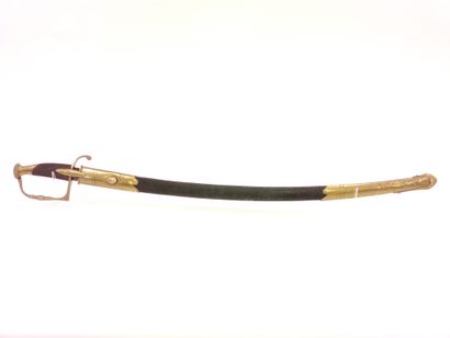 Infantry officer saber type 1800. 

Handle...