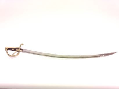 Light cavalry saber model An XI. 

Handle...
