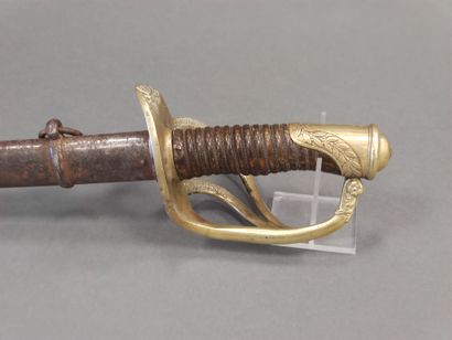 Light cavalry officer saber model 1822. 

Horn...
