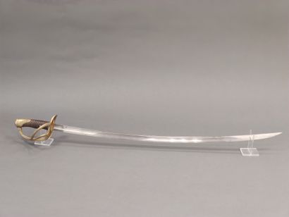 Light cavalry officer saber model 1822. 

Horn...