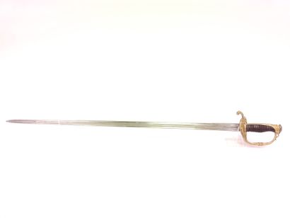 Marine infantry officer saber. 

Horn handle...