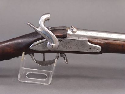 Rifle of infantry transformed with percussion,...