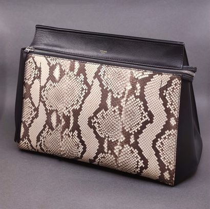 
CELINE Soft et python




Sac en cuir n...