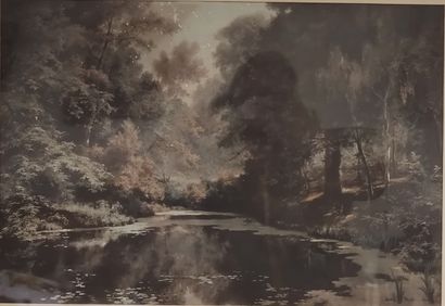 Adolph DRESSLER

Riviere en foret

Aquarelle...
