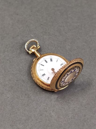 FRITZ PIGUET Bachmann Genève

Montre de col...
