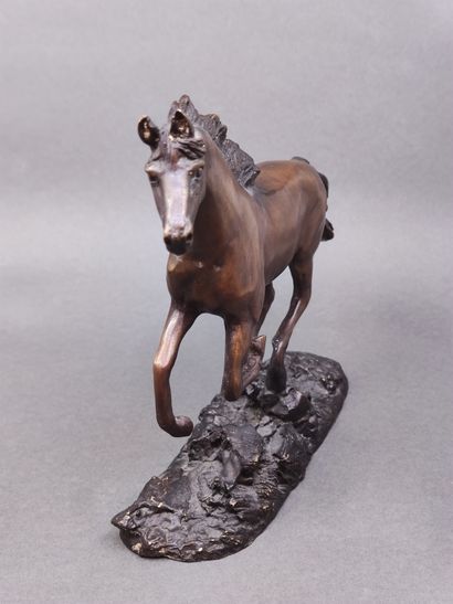 CHENILLON Jean-Louis (1810-1875)

Cheval...