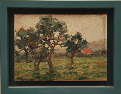 JACOBS Dieudonné (1887-

Huile sur isorel

Maison...