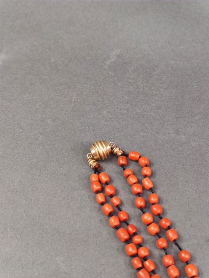 COLLIER en corail à double rang 

Fermoir...