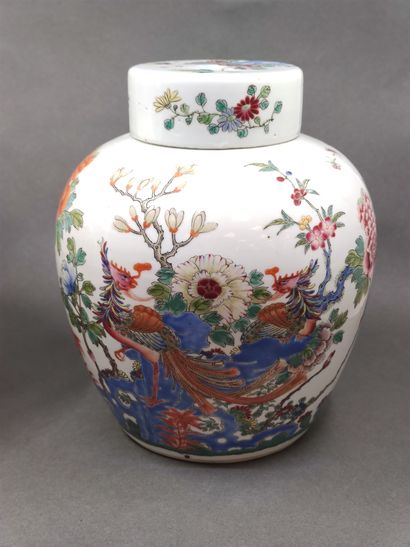 
CHINA - Early 20th century


Pair of ginger...