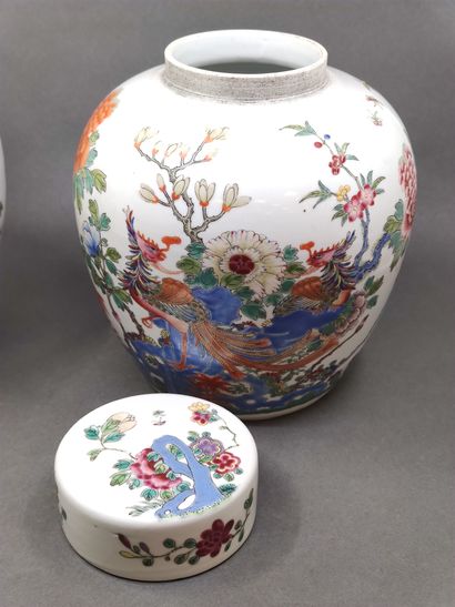 
CHINA - Early 20th century


Pair of ginger...