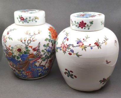 
CHINA - Early 20th century


Pair of ginger...