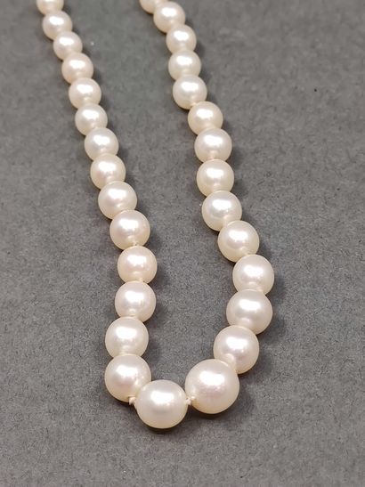 COLLIER de perles de culture, fermoir en...