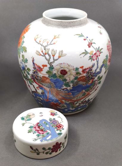 
CHINA - Early 20th century


Pair of ginger...
