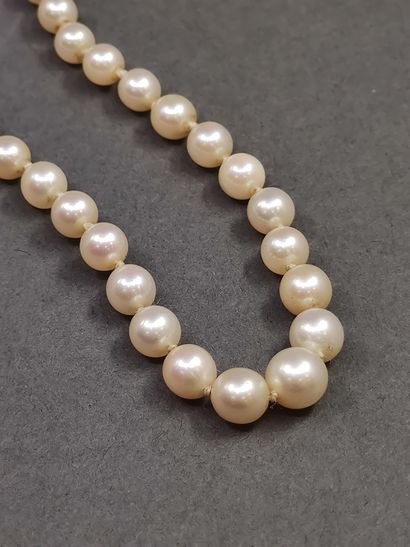 COLLIER de 85 perles en chute, fermoir à...