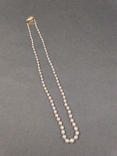 COLLIER de perles de culture, fermoir en...