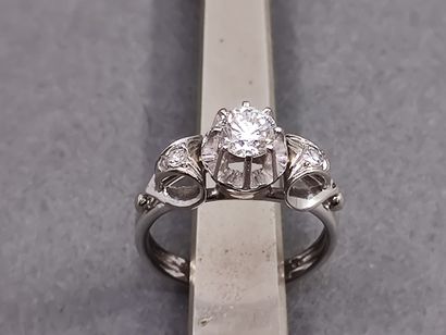 TRAVAIL Français 

BAGUE en or gris et platine...