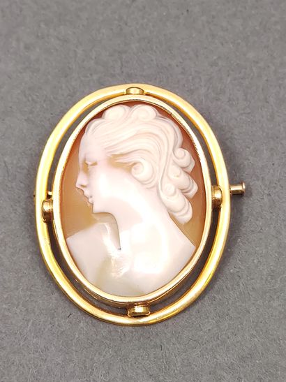 BROCHE camée coquille en or jaune 750° 

Poids...