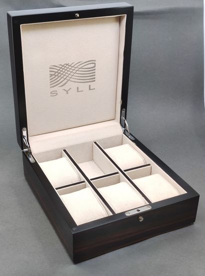 BOITE de présentation de montres à 6 compartiments,...