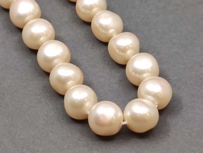 COLLIER choker de perles