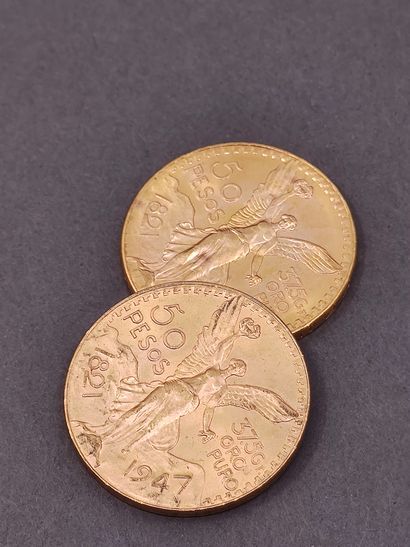 
LOT de deux pièces de 50 pesos or




Poids...
