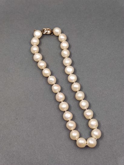 COLLIER choker de perles