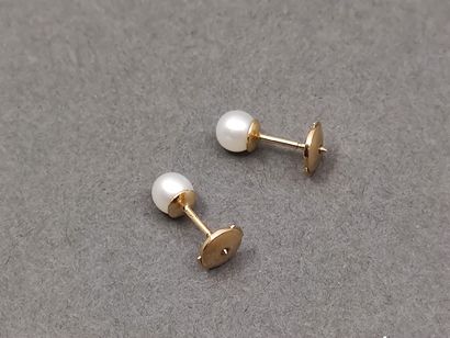 BIJOU NEUF 

PAIRE de boutons d'oreilles...