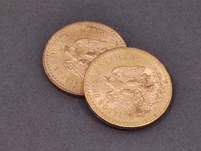 
LOT de deux pièces de 50 pesos or




Poids...