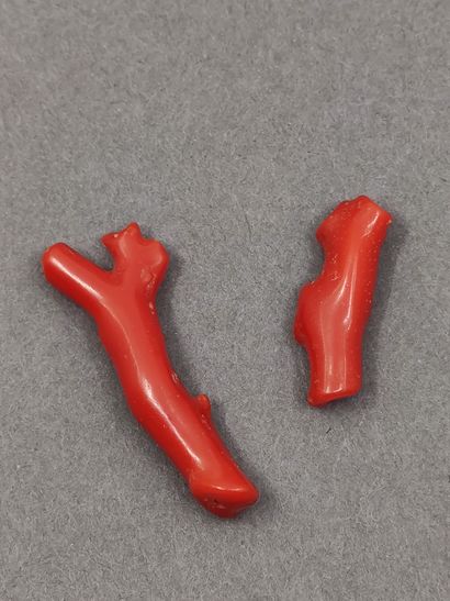 LOT comprenant : 

Deux morceaux de Corail...