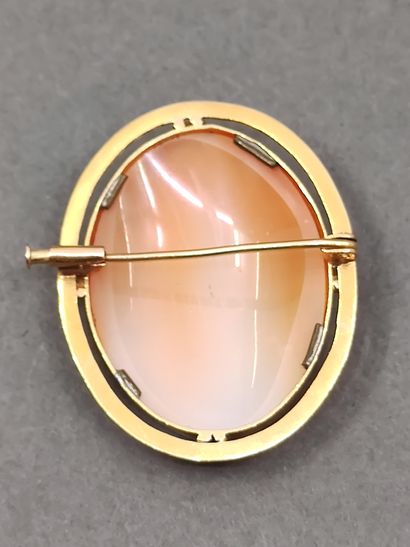BROCHE camée coquille en or jaune 750° 

Poids...
