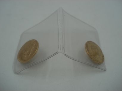 2 Pièces Or 22kt 12,83 g de 20 francs sous...