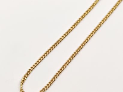 CHAINE en or 18 kt

Poids : 10,50 g