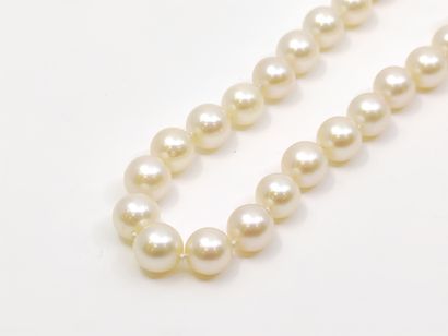 COLLIER et BRACELET en perles de culture...