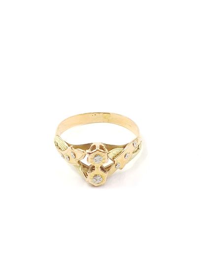 LOT d'or 750° comprenant :

Deux broches...