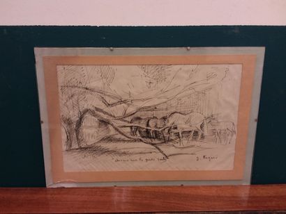 FAGARD 

Horses under the big willows 

Framed...