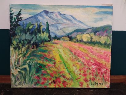 FAGARD

Vue sur la colline sainte victoire

Huile...