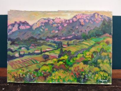 FAGARD

Paysage provencale

Huile sur toile...