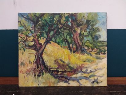 FAGARD

Oliviers en provence 

Huile sur...