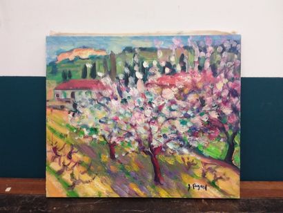 FAGARD 

Trees in bloom

Oil on canvas 

Signed...