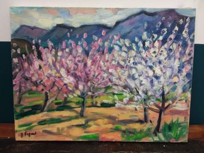 FAGARD

arbres en fleurs 

Huile sur toile...