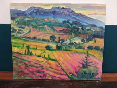 FAGARD

Campagne vignerons la cadiere azur

Huile...