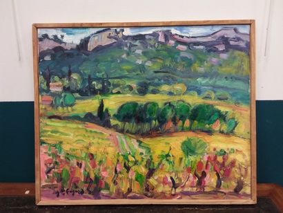 FAGARD 

Vines in autumn in St Cyr sur mer

Oil...