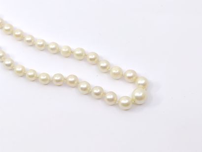 NECKLACE of pearls in fall, ratchet clasp...