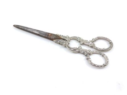 PAIR of silver and metal grape scissors

Gross...